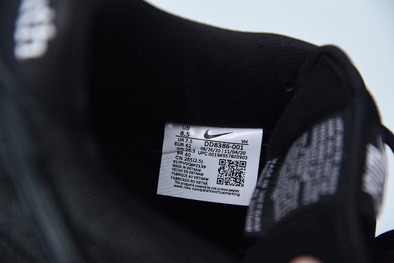 nike sb dunk low wasted youth dd8386-001